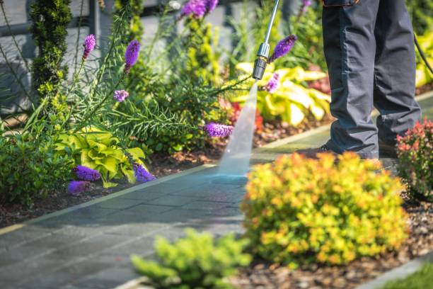 Trusted Clintondale, NY Pressure Washing Services Experts
